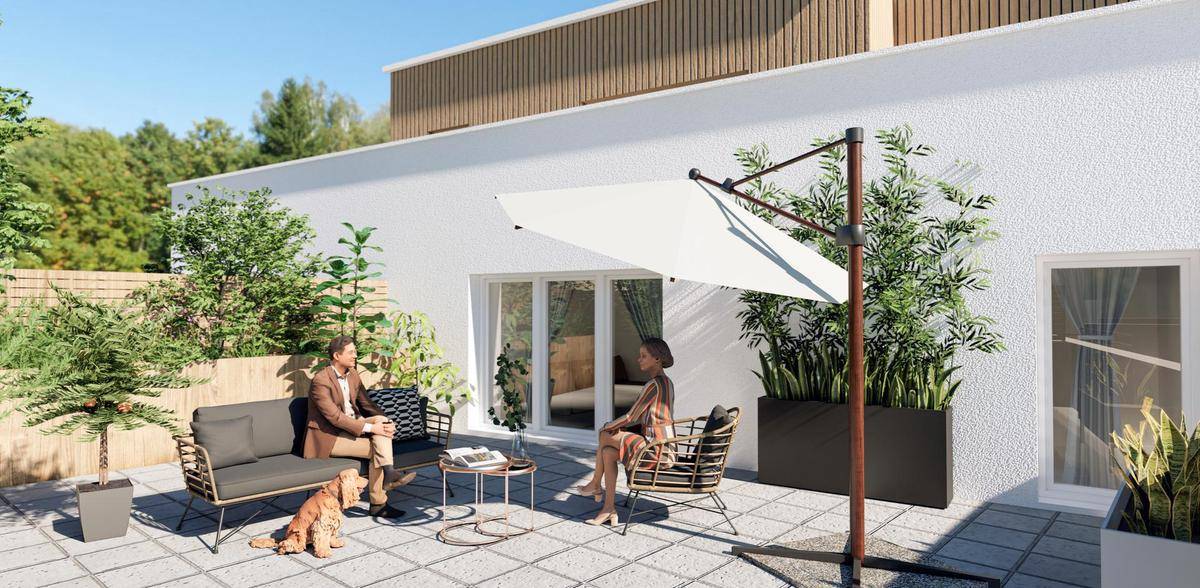 Image de l'annonce GINKGO